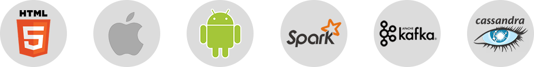 Software and Geo-data developmen